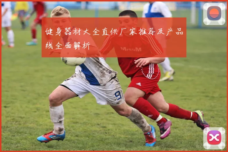 健身器材大全直供厂家推荐及产品线全面解析