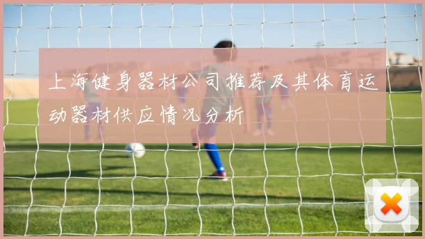 上海健身器材公司推荐及其体育运动器材供应情况分析