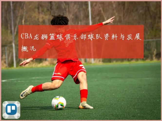 CBA龙狮篮球俱乐部球队资料与发展概况