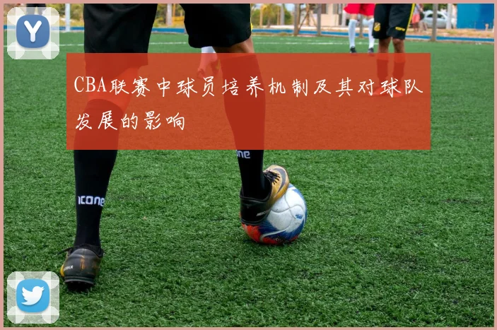 CBA联赛中球员培养机制及其对球队发展的影响