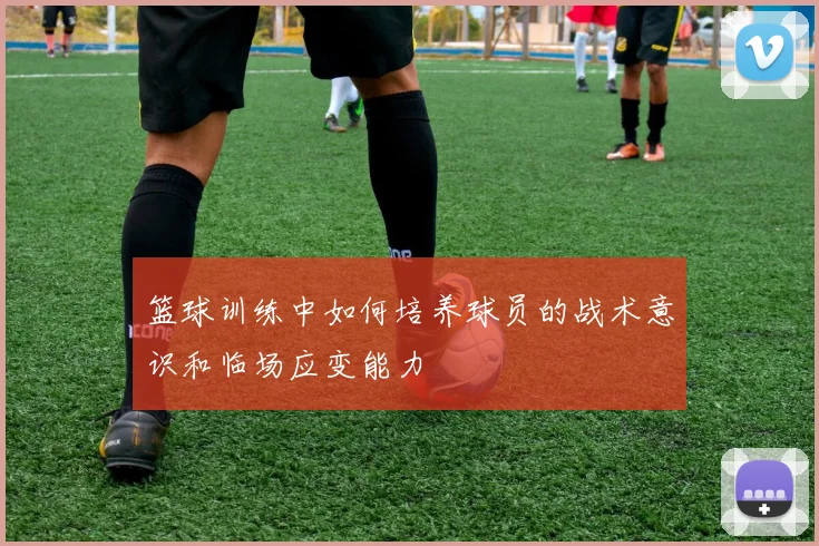 篮球训练中如何培养球员的战术意识和临场应变能力